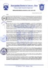 Vista preliminar de documento Resolución Gerencial N° 0005