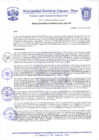 Vista preliminar de documento Resolución Gerencial N° 0019
