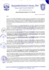 Vista preliminar de documento Resolución Gerencial N° 0020