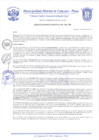 Vista preliminar de documento Resolución Gerencial N° 0028