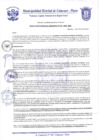 Vista preliminar de documento Resolución Gerencial N° 0037