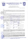 Vista preliminar de documento Resolución Gerencial N° 0032
