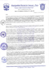Vista preliminar de documento Resolución Gerencial N° 0041