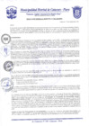 Vista preliminar de documento Resolución Gerencial N° 0054