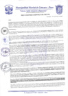 Vista preliminar de documento Resolución Gerencial N° 0055