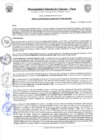 Vista preliminar de documento Resolución Gerencial N° 0060