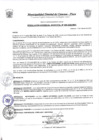 Vista preliminar de documento Resolución Gerencial N° 0065