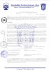 Vista preliminar de documento Resolución Gerencial N° 0067