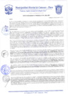 Vista preliminar de documento Resolución Gerencial N° 0080