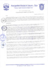 Vista preliminar de documento Resolución Gerencial N° 0095