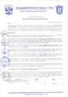 Vista preliminar de documento Resolución Gerencial N° 0096