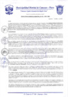 Vista preliminar de documento Resolución Gerencial N° 0101