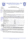 Vista preliminar de documento Resolución Gerencial N° 0105