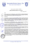 Vista preliminar de documento Resolución Gerencial N° 0110