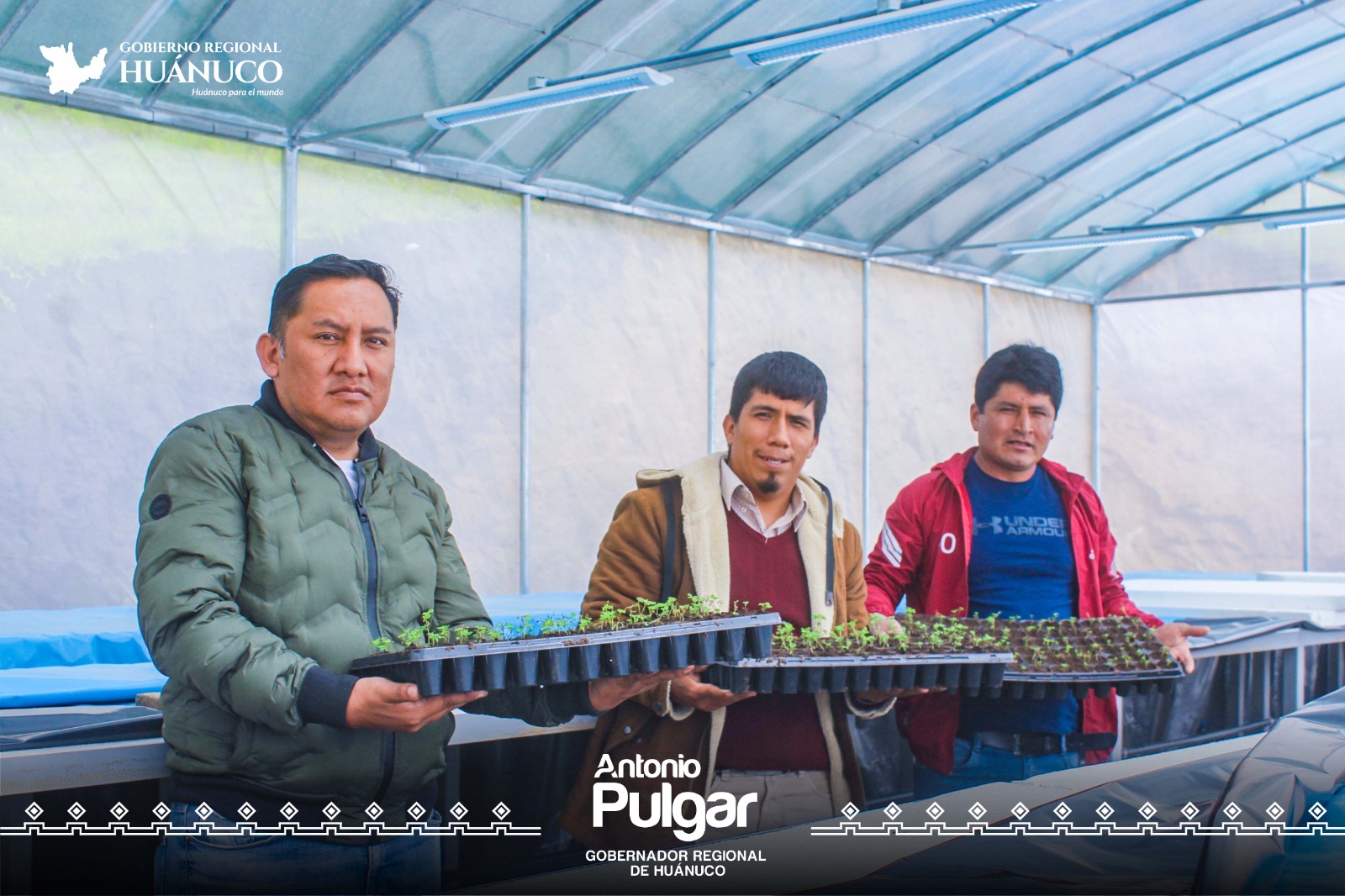 Invernadero aeropónico de semilla certificada de papa nativa de Tingo Racgra