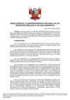 Vista preliminar de documento Resolución de la Superintendencia Nacional de los Registros Públicos N° 041-2023-SUNARP/SN