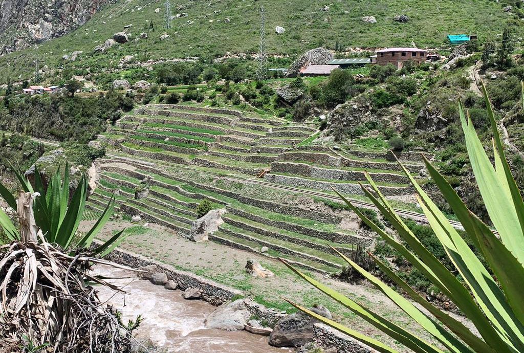 Ministerio de Cultura concluyó la restauración de 14 andenes inkas del sector de Choquellusca en Machupicchu 