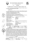 Vista preliminar de documento R.G.G.R. Nro. 041-2023-GGR-GR PUNO