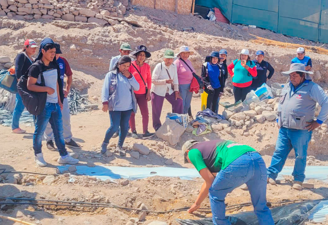 Agricultores de Cinto y Curibaya son capacitados en manejo nutricional del zapallo tipo camote