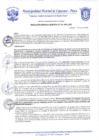 Vista preliminar de documento Resolución Gerencial N° 0134-2020