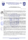 Vista preliminar de documento Resolución Gerencial N° 0141-2020