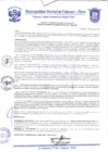 Vista preliminar de documento Resolución Gerencial N° 0156-2020