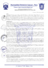 Vista preliminar de documento Resolución Gerencial N° 0161-2020