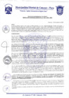 Vista preliminar de documento Resolución Gerencial N° 0169-2020