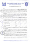 Vista preliminar de documento Resolución Gerencial N° 0165-2020