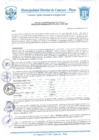 Vista preliminar de documento Resolución Gerencial N° 0177-2020