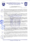 Vista preliminar de documento Resolución Gerencial N° 0174-2020