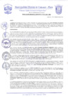 Vista preliminar de documento Resolución Gerencial N° 0187-2020