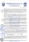 Vista preliminar de documento Resolución Gerencial N° 0186-2020