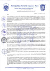 Vista preliminar de documento Resolución Gerencial N° 0196-2020