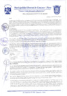 Vista preliminar de documento Resolución Gerencial N° 0208-2020