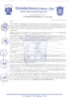 Vista preliminar de documento Resolución Gerencial N° 0207-2020