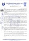 Vista preliminar de documento Resolución Gerencial N° 0203-2020