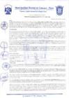 Vista preliminar de documento Resolución Gerencial N° 0211-2020