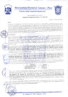 Vista preliminar de documento Resolución Gerencial N° 0212-2020