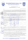 Vista preliminar de documento Resolución Gerencial N° 0216-2020