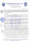 Vista preliminar de documento Resolución Gerencial N° 0217-2020