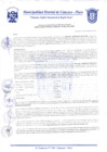 Vista preliminar de documento Resolución Gerencial N° 0223-2020