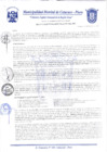 Vista preliminar de documento Resolución Gerencial N° 0226-2020