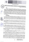 Vista preliminar de documento RA - 013