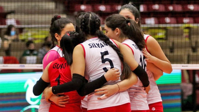 voleibol.