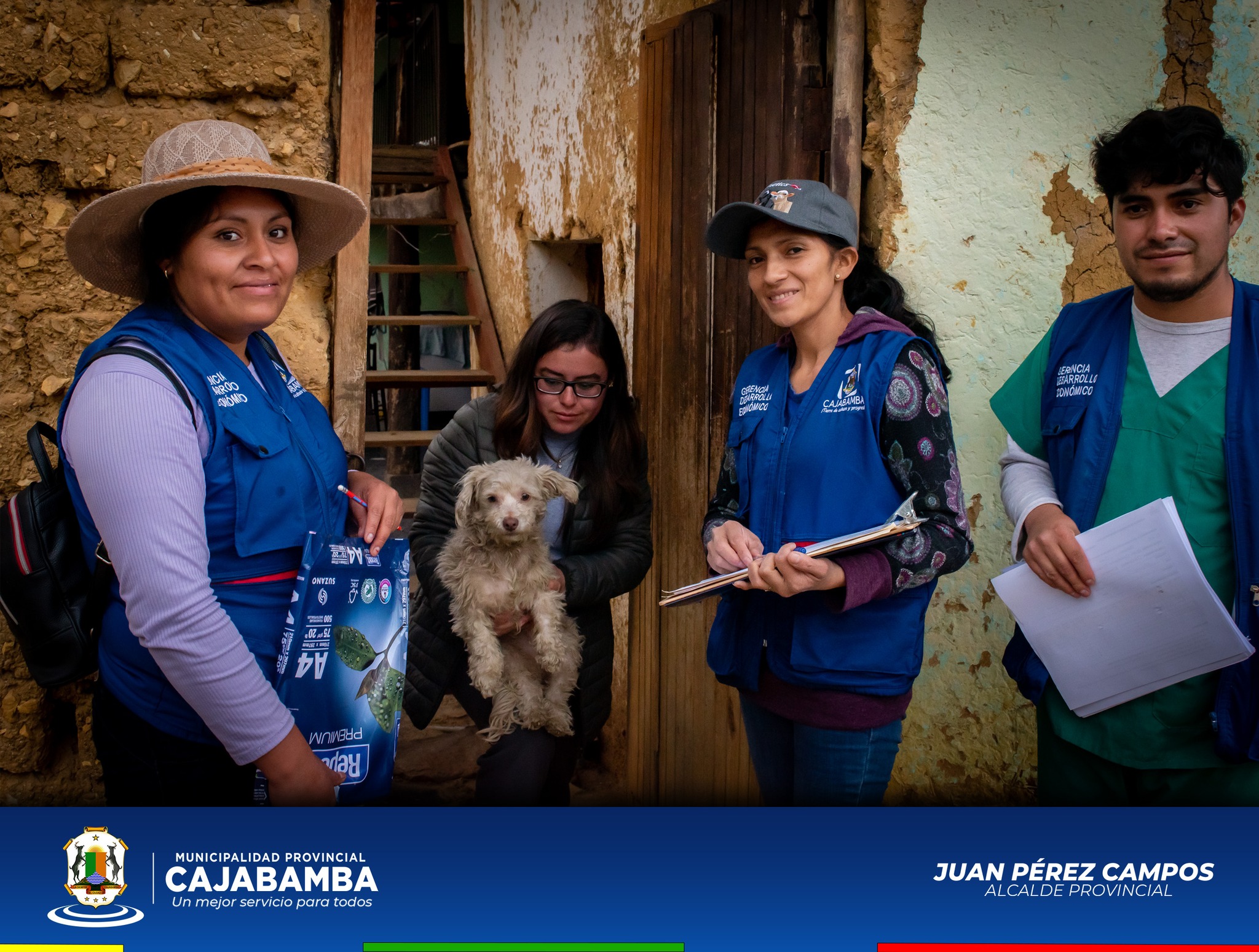 censo canino