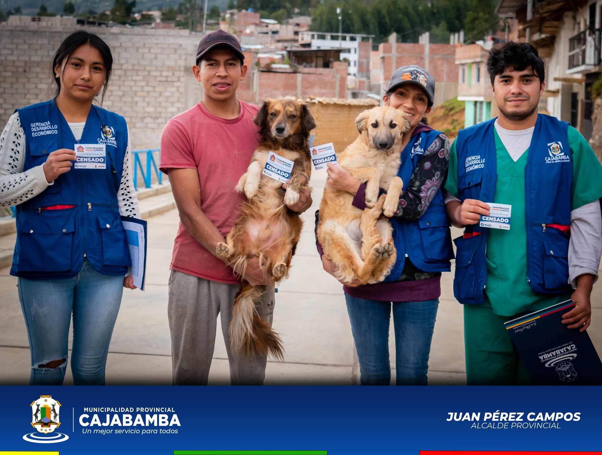 censo canino