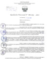 Vista preliminar de documento Resolución Directoral. Nº 1151 