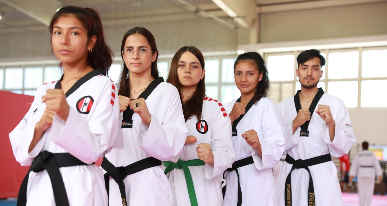 Taekwondo