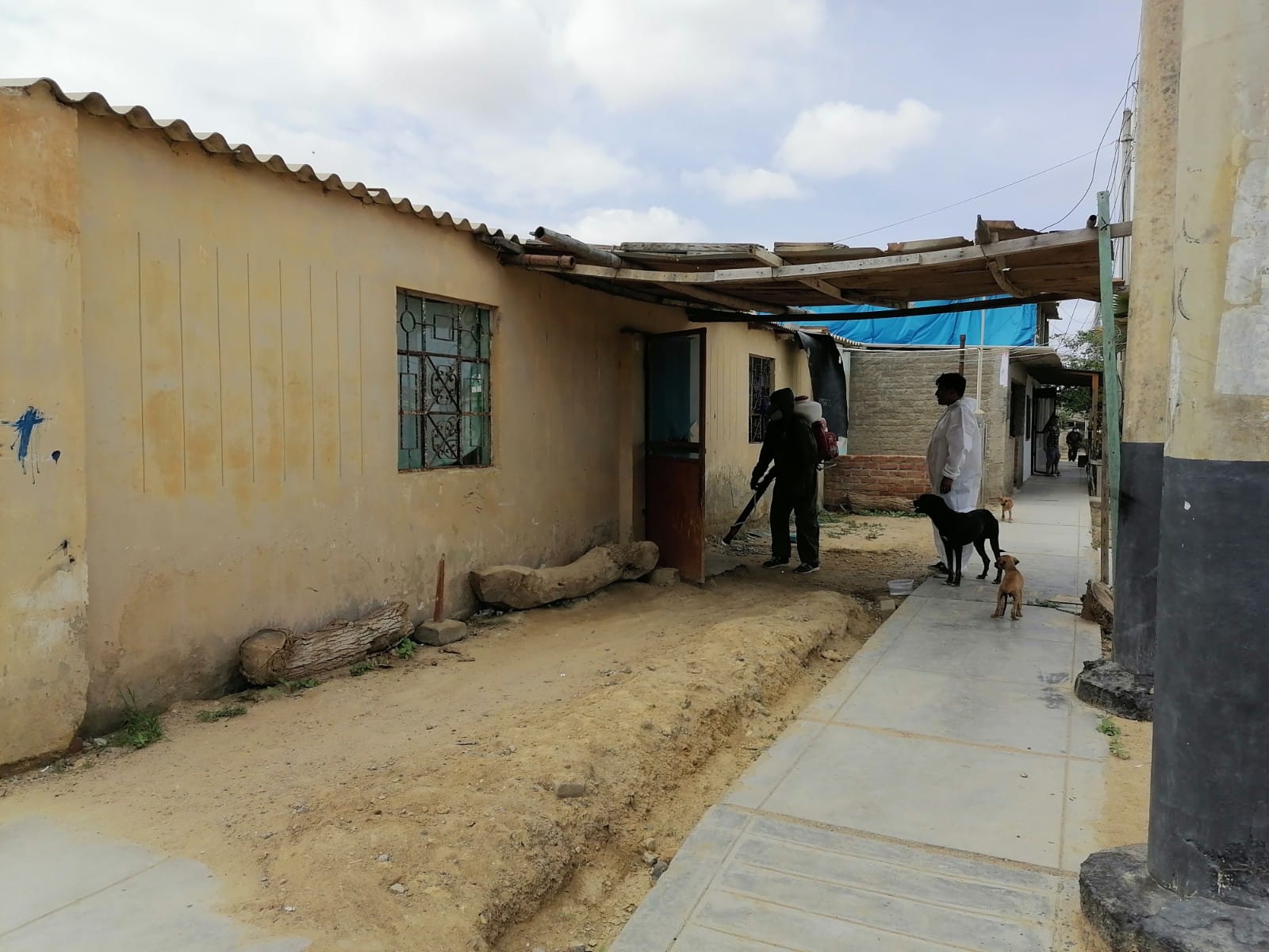 Barrios y Asentamientos de El Alto siguen siendo fumigados